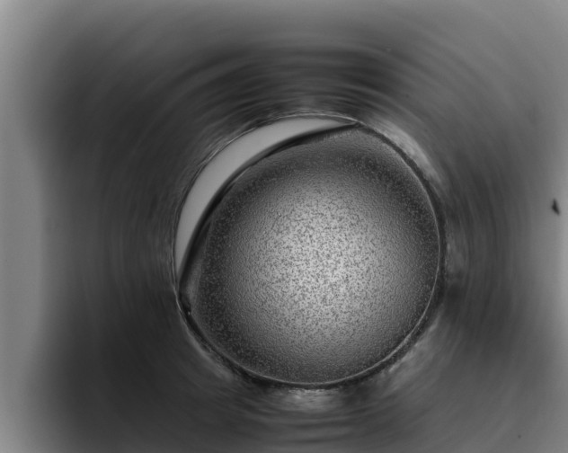 X0000094950849200712061250