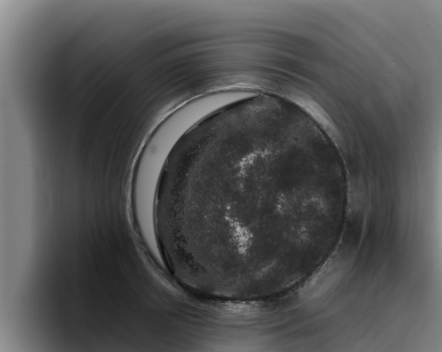 X0000094950850200712061250