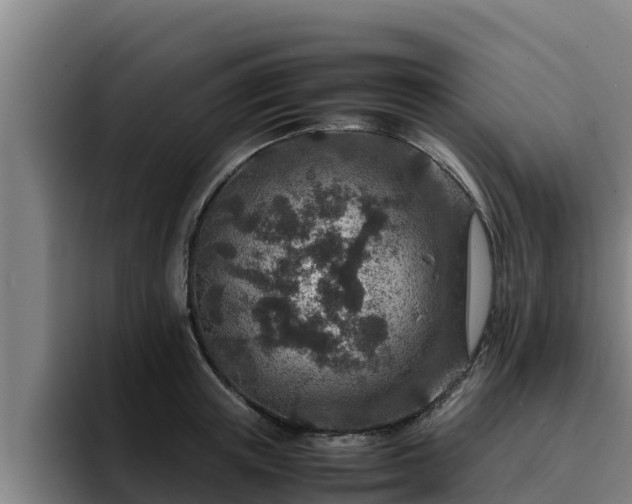 X0000094950851200712061250