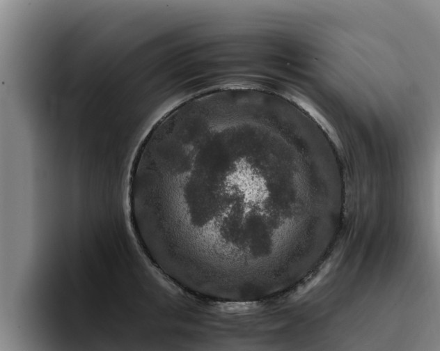 X0000094950853200712061250