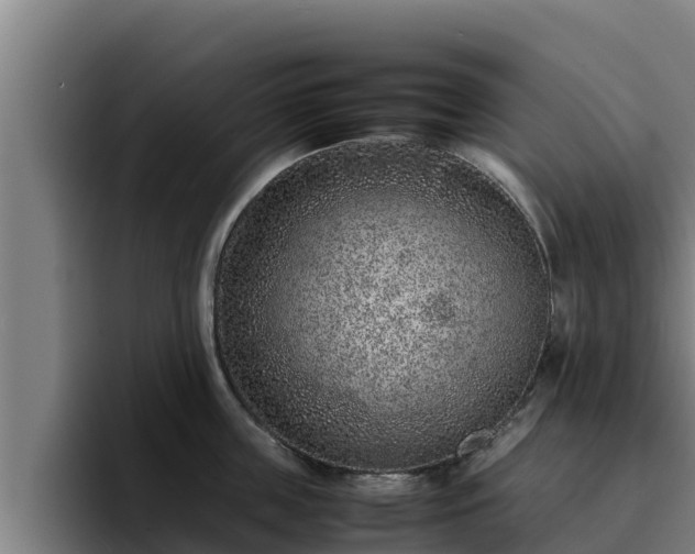 X0000094950859200712061250