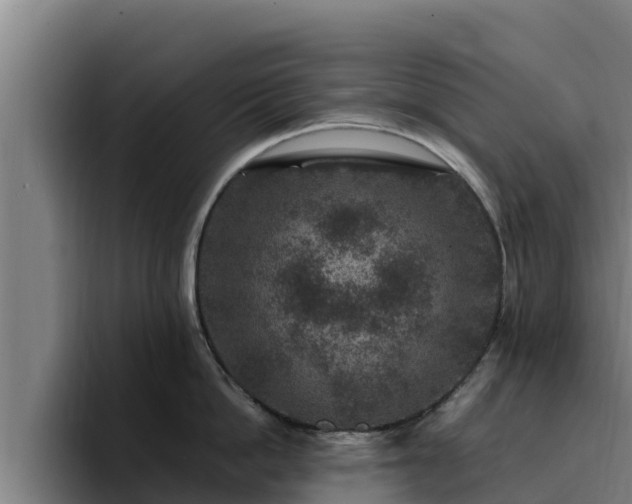 X0000094950862200712061250