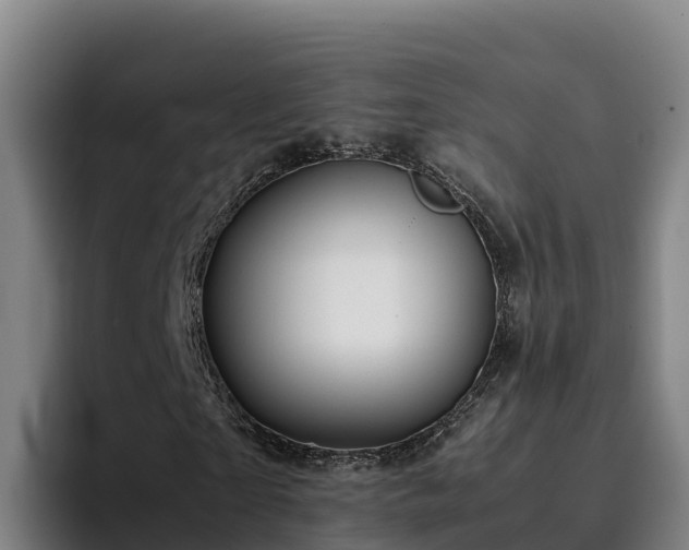 X0000094950865200712061249