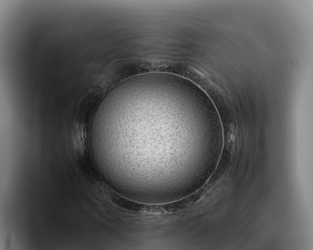 X0000094950866200712061249