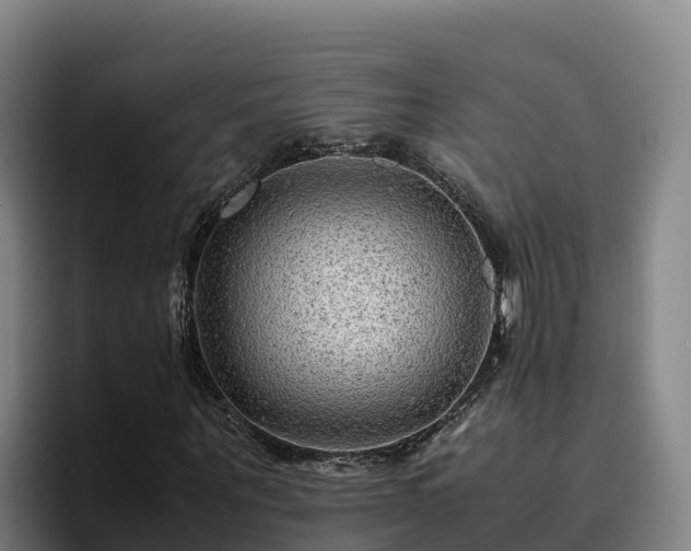 X0000094950867200712061249