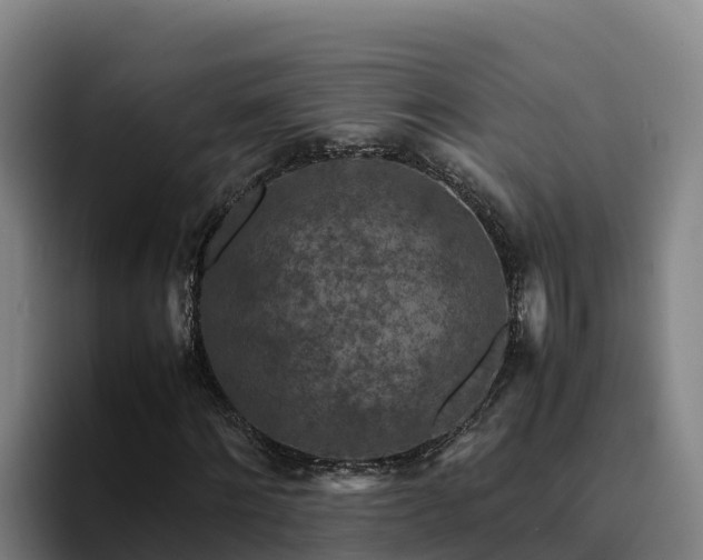 X0000094950868200712061249