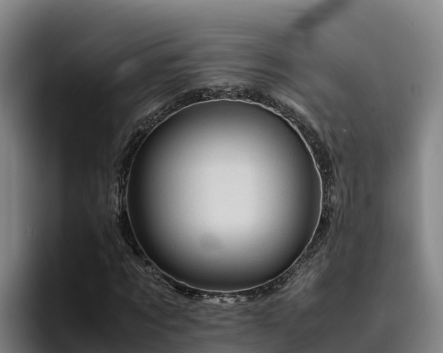 X0000094950869200712061249