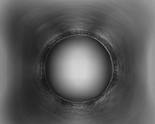 X0000094950870200712061249