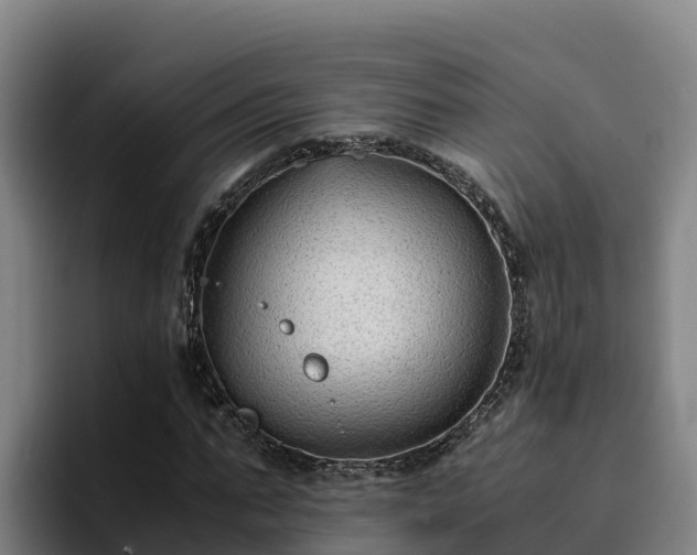 X0000094950871200712061249