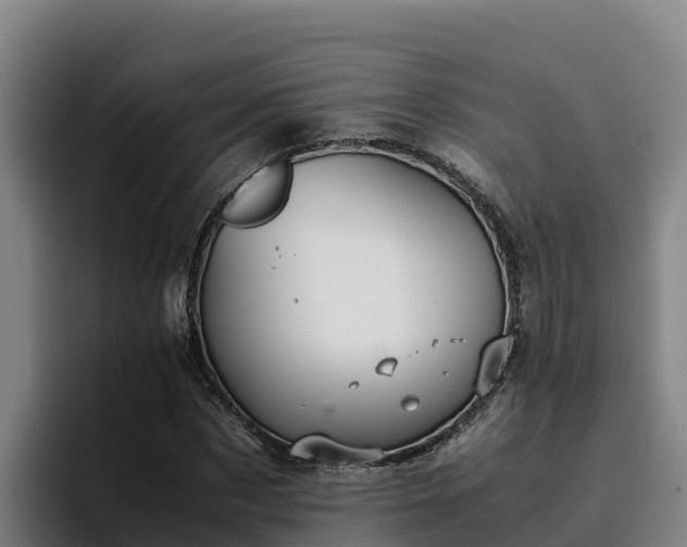 X0000094950873200712061249