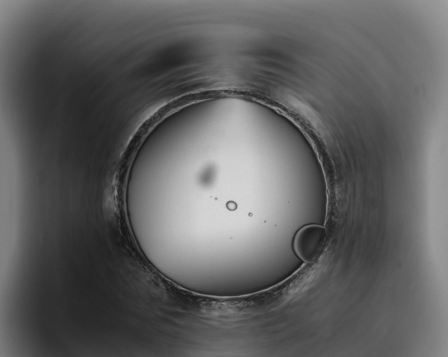 X0000094950875200712061249