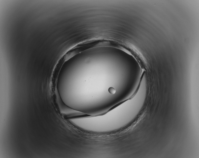 X0000094950876200712061249