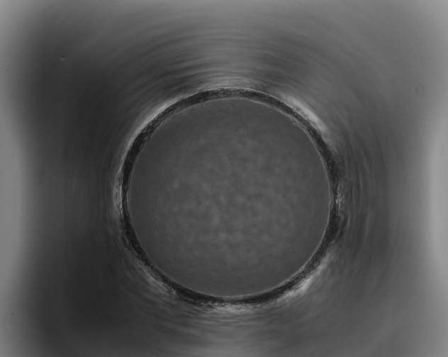 X0000094950877200712061249