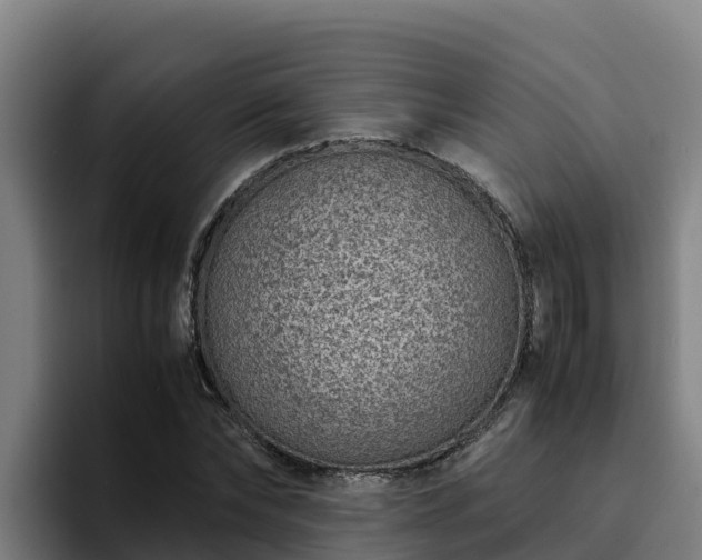 X0000094950878200712061249