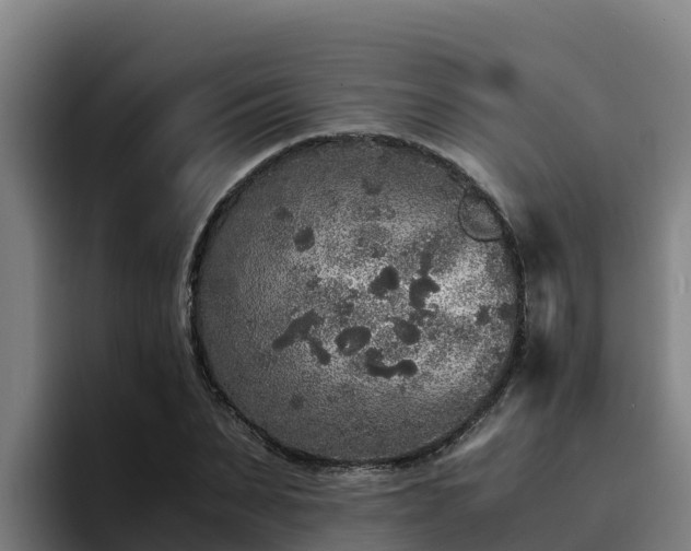 X0000094950879200712061249