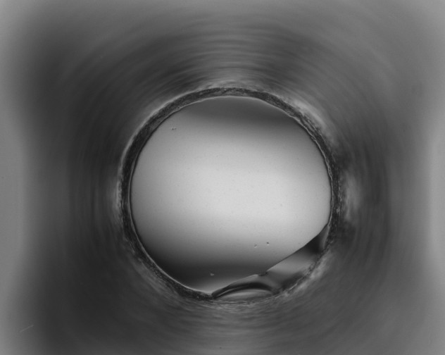 X0000094950880200712061249