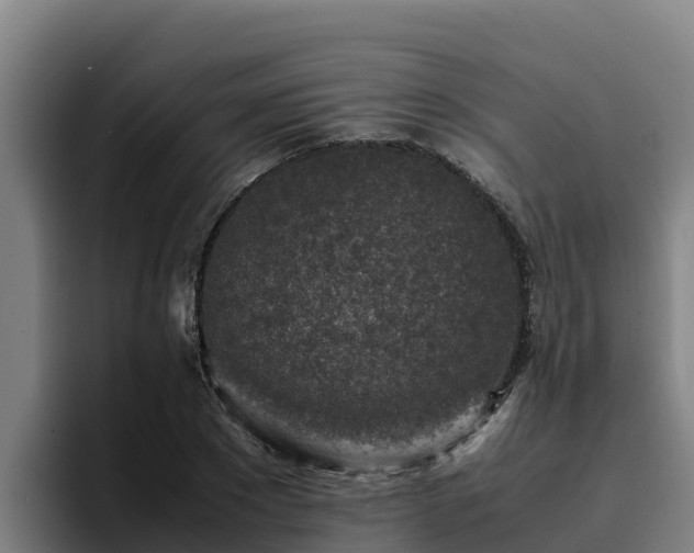 X0000094950881200712061249