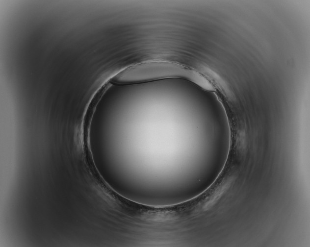 X0000094950884200712061249