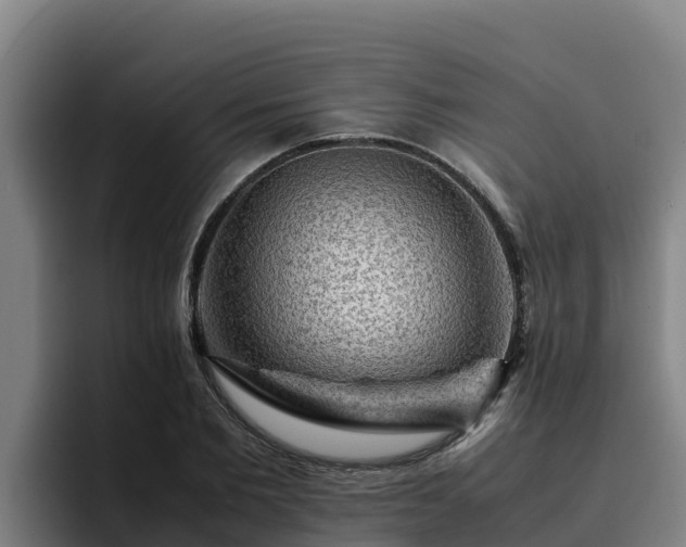 X0000094950885200712061249