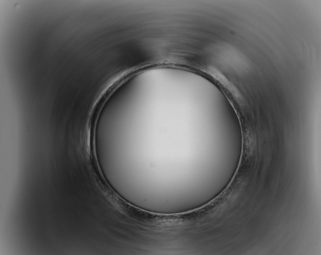 X0000094950886200712061249