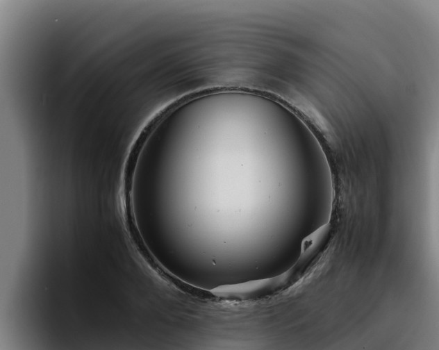 X0000094950888200712061249