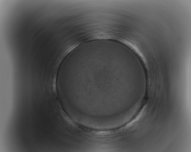 X0000094950889200712061249