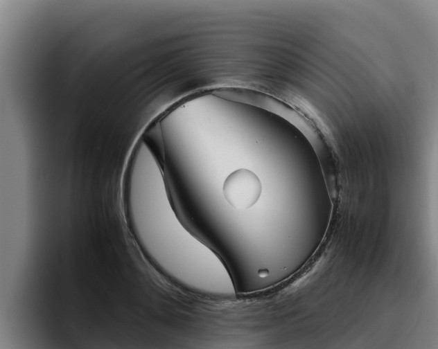 X0000094950892200712061249