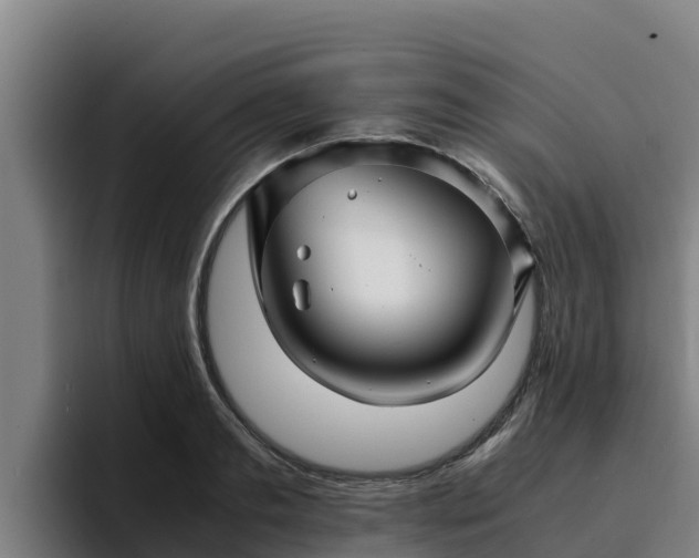 X0000094950893200712061249