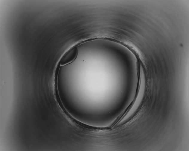 X0000094950894200712061249