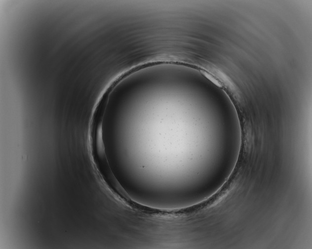 X0000094950896200712061249