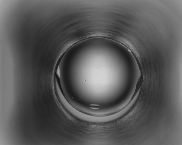 X0000094950898200712061249