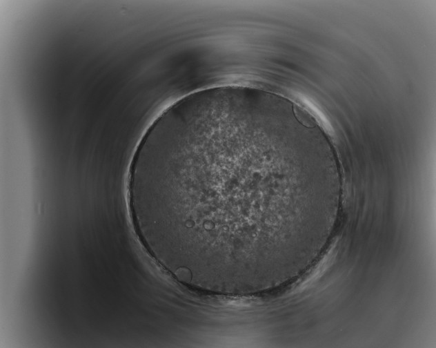 X0000094950899200712061249