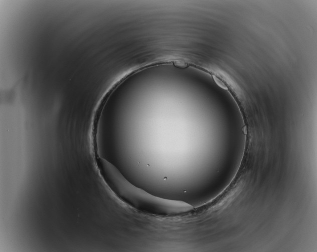 X0000094950902200712061249