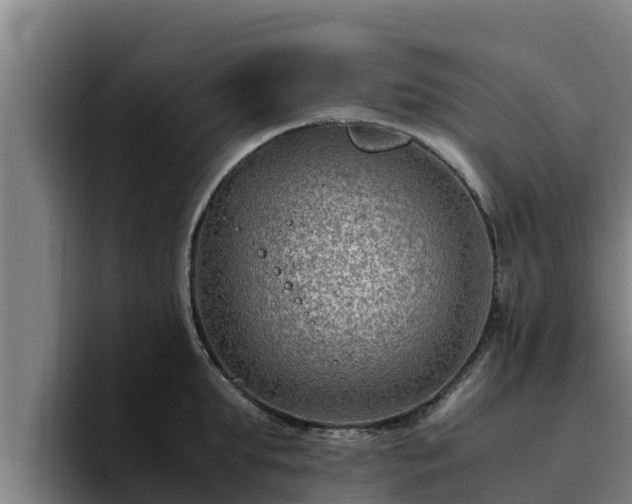 X0000094950903200712061249