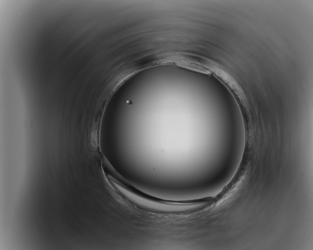 X0000094950905200712061249