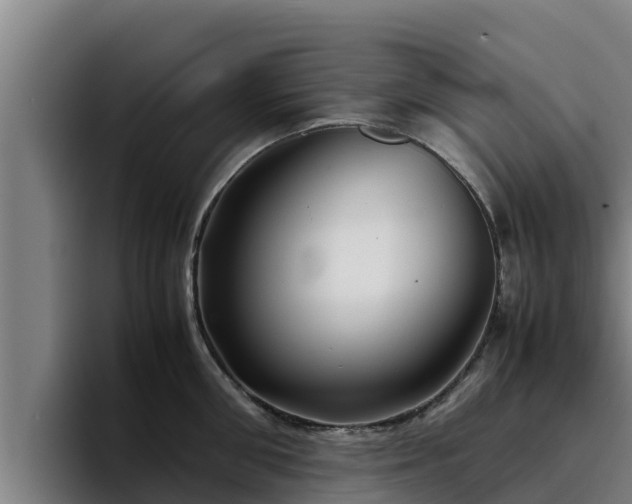 X0000094950906200712061249