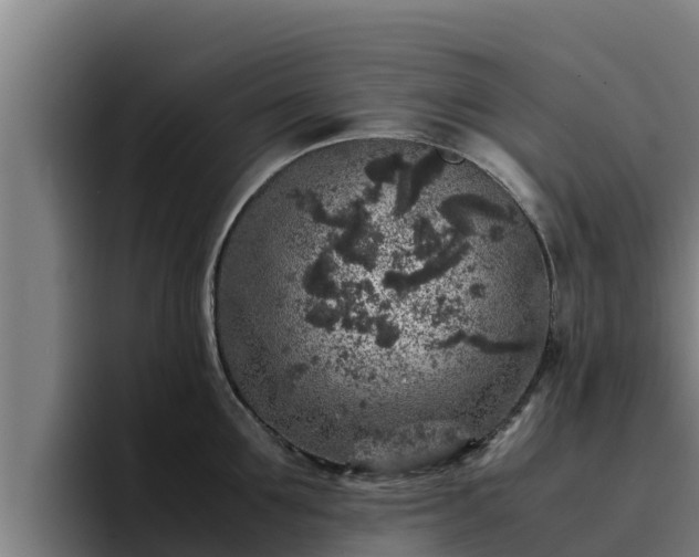 X0000094950907200712061249