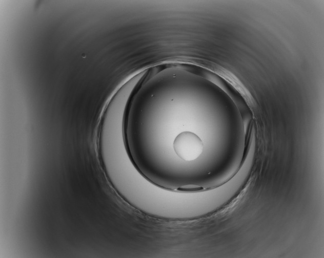 X0000094950908200712061249