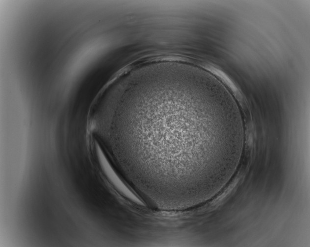 X0000094950910200712061249