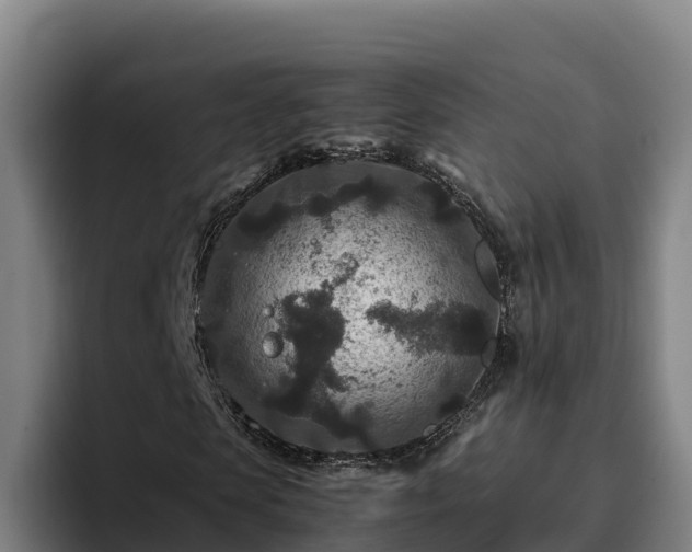 X0000094950913200712061248