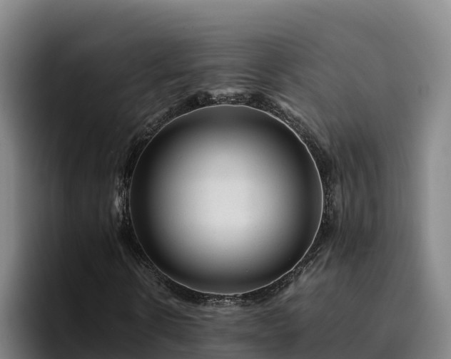 X0000094950914200712061248