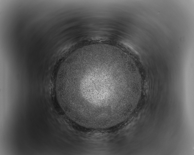 X0000094950917200712061248