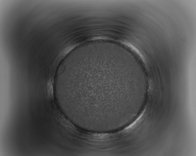 X0000094950921200712061248