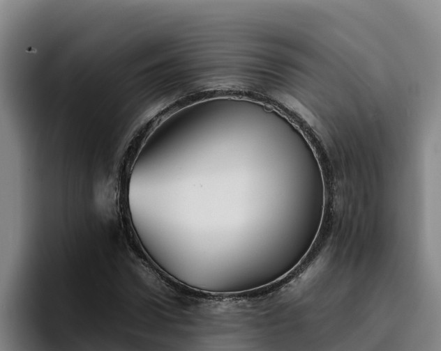 X0000094950922200712061248