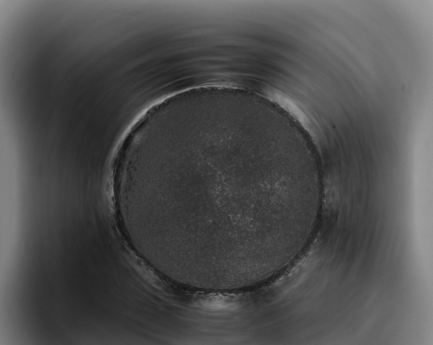 X0000094950923200712061248