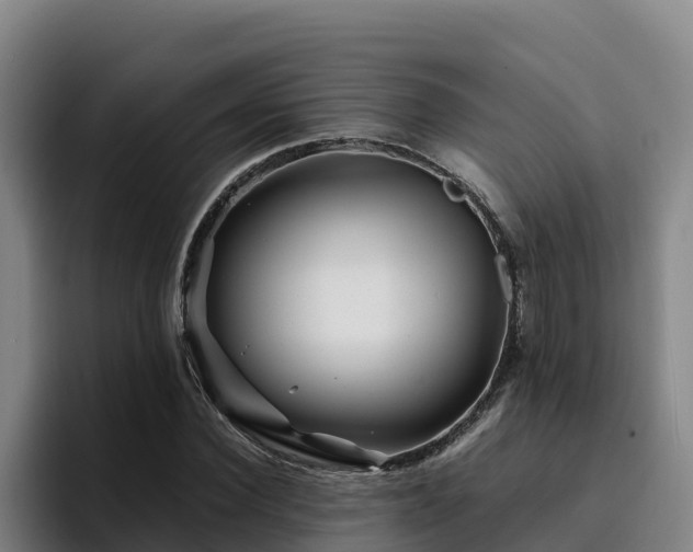 X0000094950924200712061248