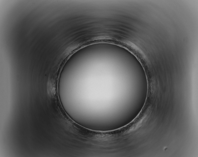 X0000094950929200712061248