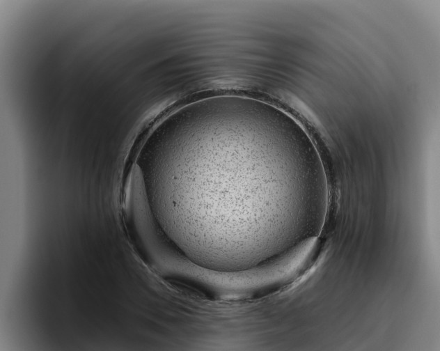 X0000094950930200712061248