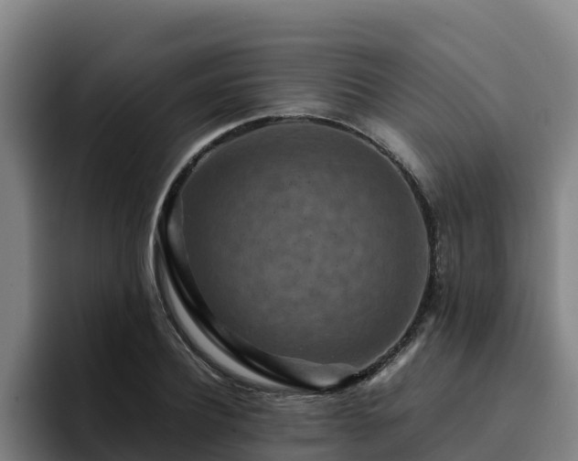 X0000094950932200712061248