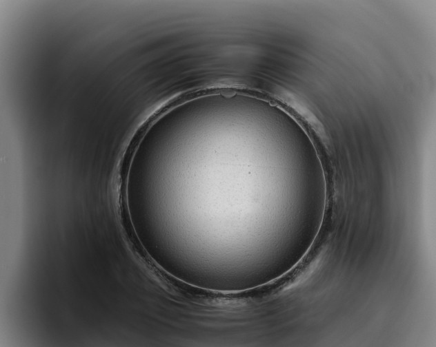 X0000094950933200712061248